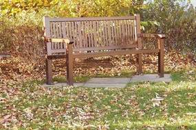 Fallen leaves in park